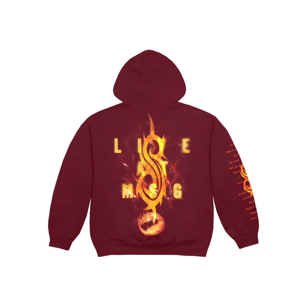 Live at MSG Hoodie - Image 2